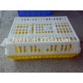 Live Poultry Plastic Crate For Sale